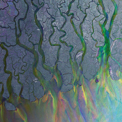 Alt-J/An Awesome Wave [LP]