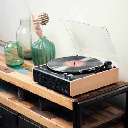 The Eastwood Hybrid Turntable