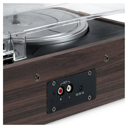 The Eastwood Hybrid Turntable