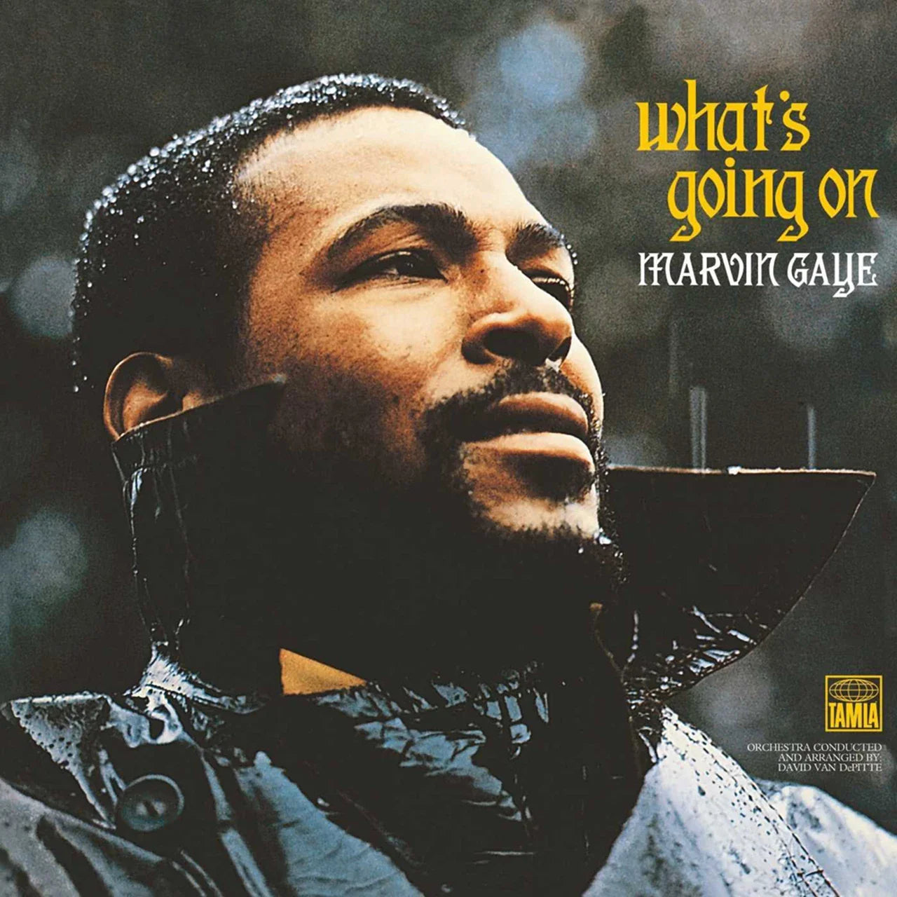 Marvin Gaye - What's Going On - 180 GRAM VINYL LP - NEW